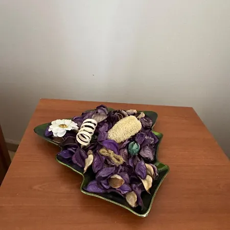 Lejlighed Dvor 92 M2, Marijin Dvor